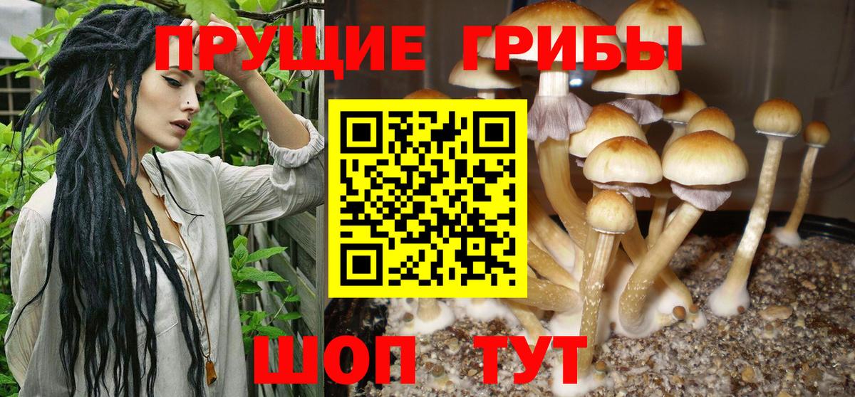 Семёнов  Галлюциногенные грибы прущие грибы  Вход с VPN 