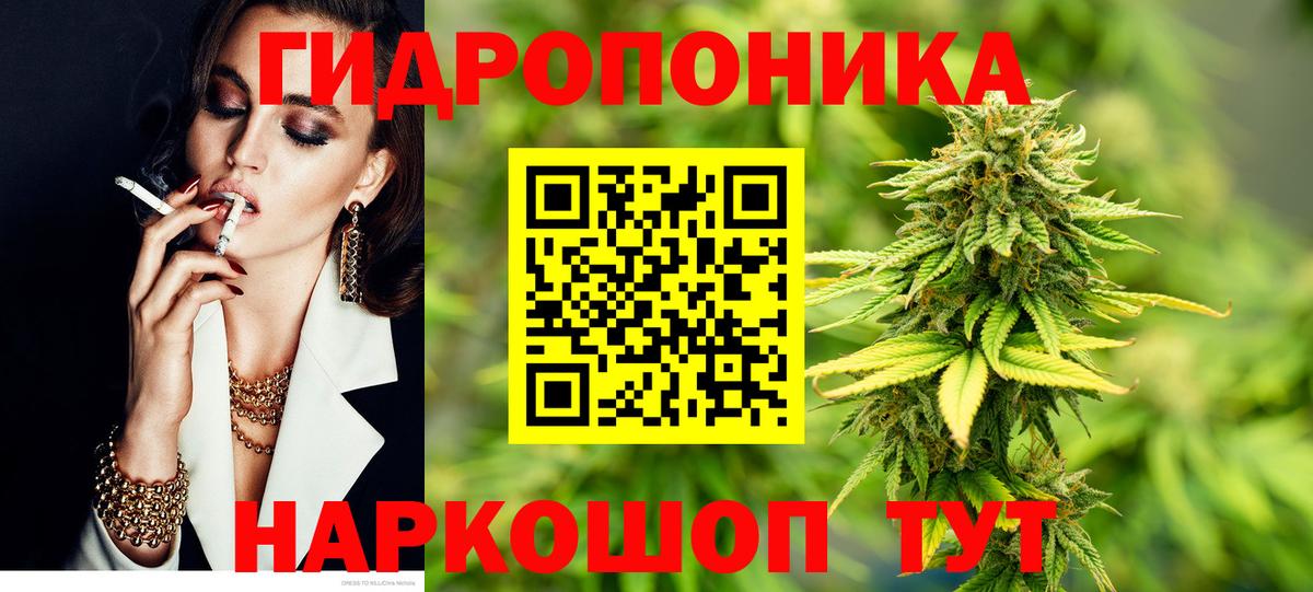 Марихуана план  Канабис AK-47  Конопля марихуана  МАРИХУАНА THC 21%  Семёнов  Вход с VPN 